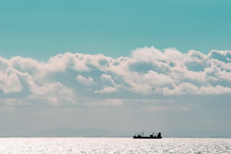 A well-maintained cargo ship sailing under clear skies.
