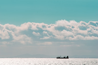 A well-maintained cargo ship sailing under clear skies.