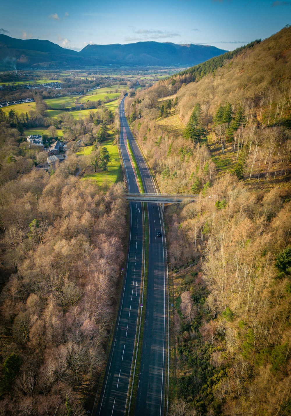 an aerial view of a road surrounded by trees