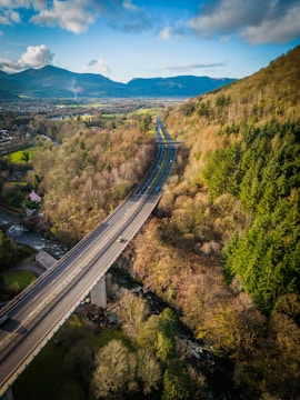 A modern highway bridge crossing a river, surrounded by green landscapes under a clear blue sky.