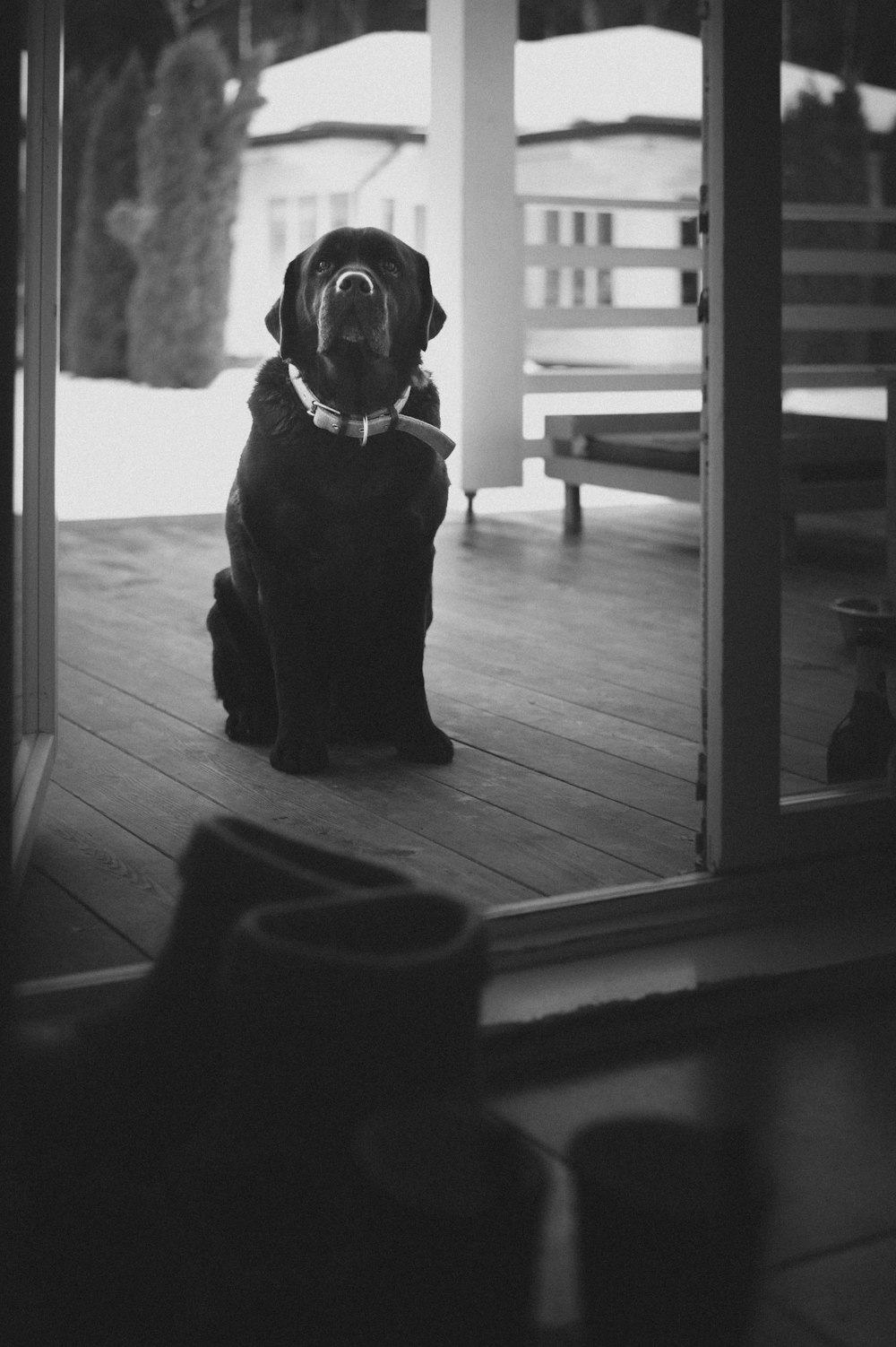 a black dog sitting on a wooden porch