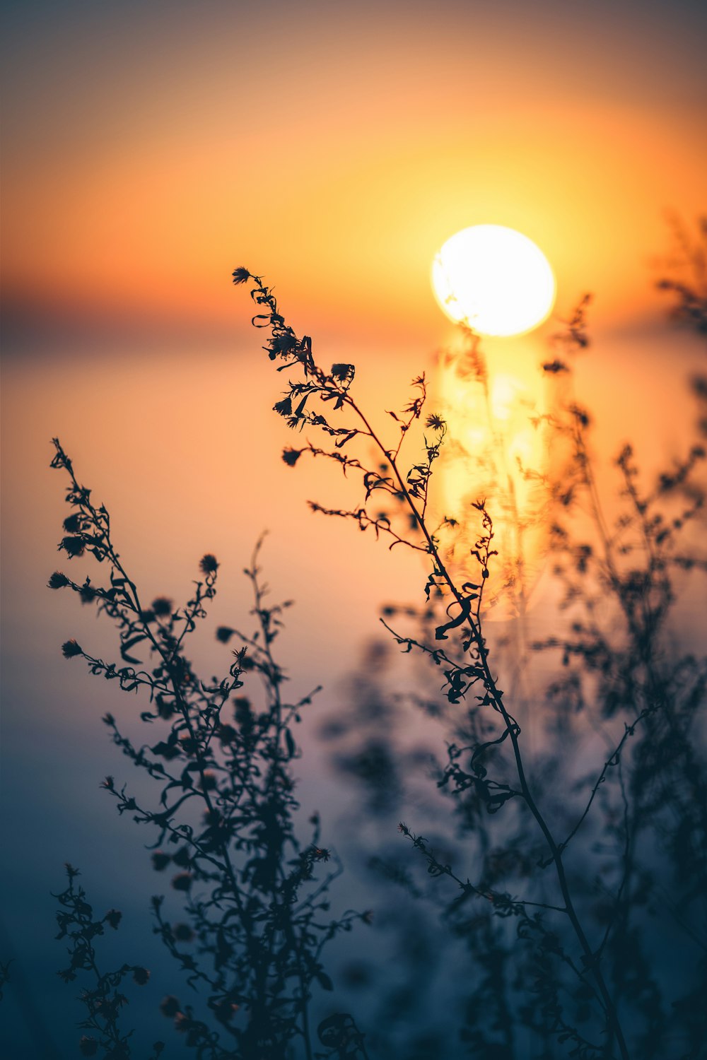 the sun is setting over a body of water