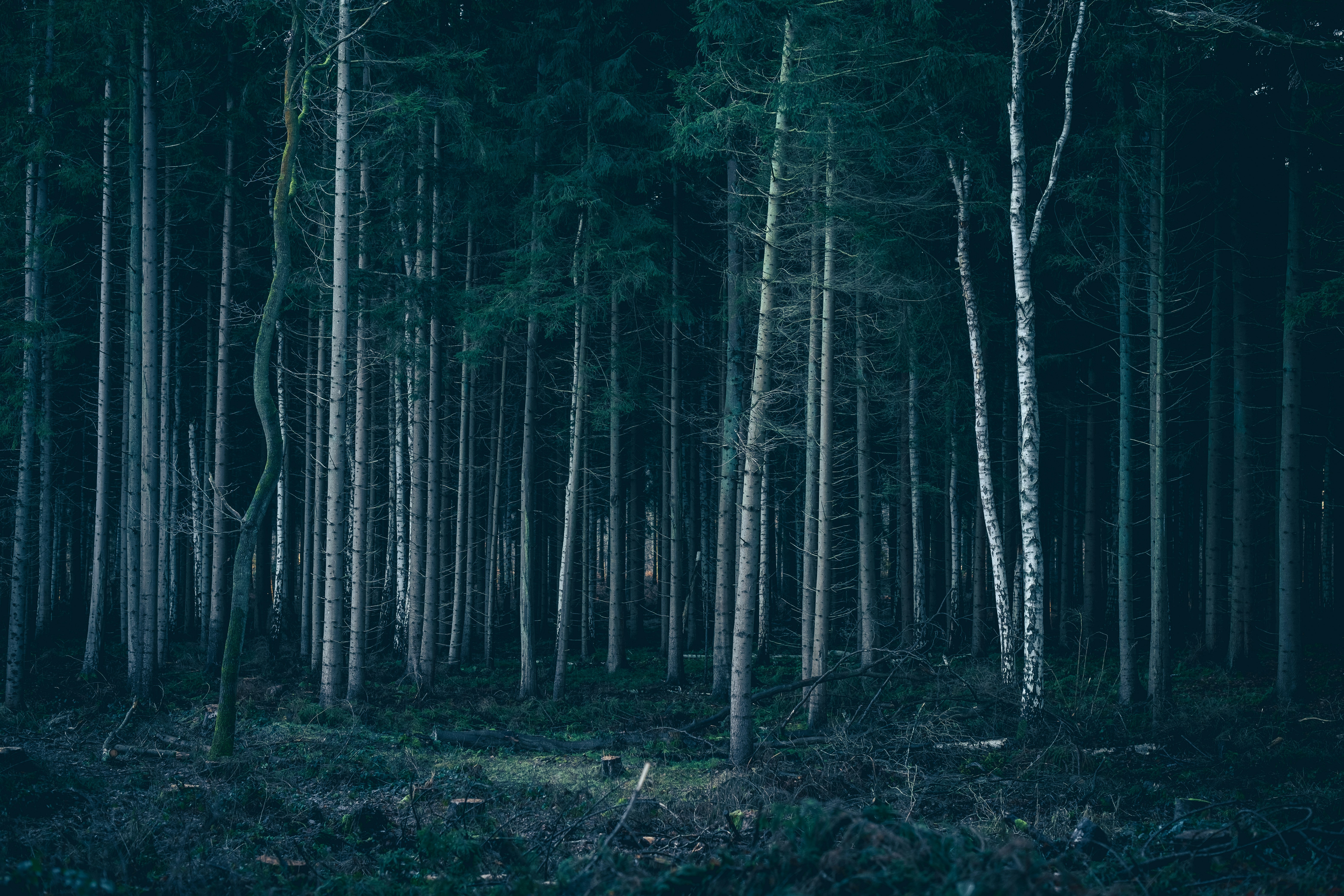 Photo by michaelheld