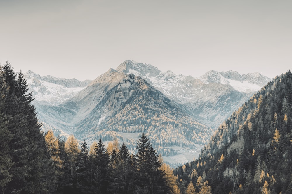 a view of a mountain range with trees in the foreground