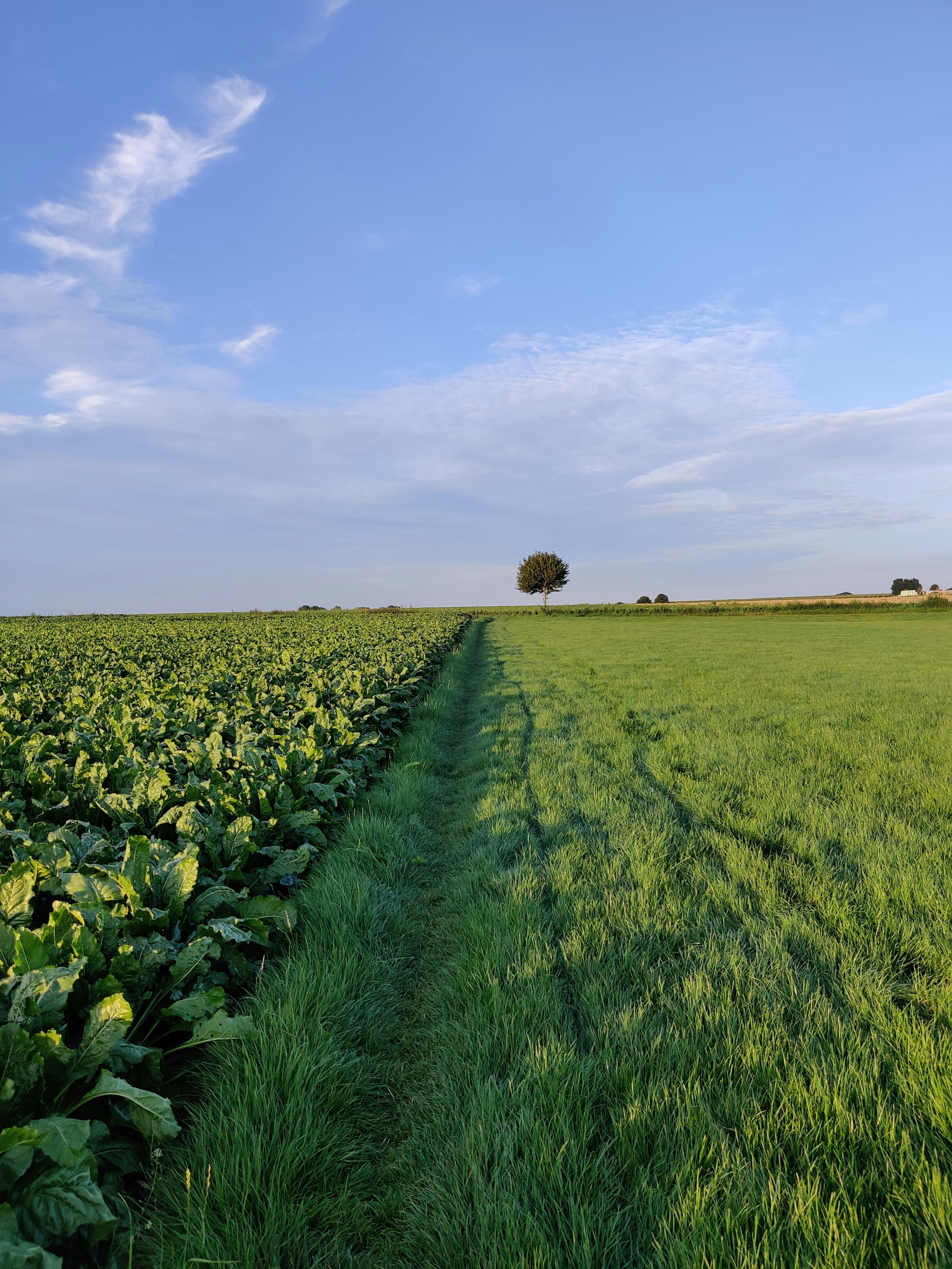 Photo by conradmaayen