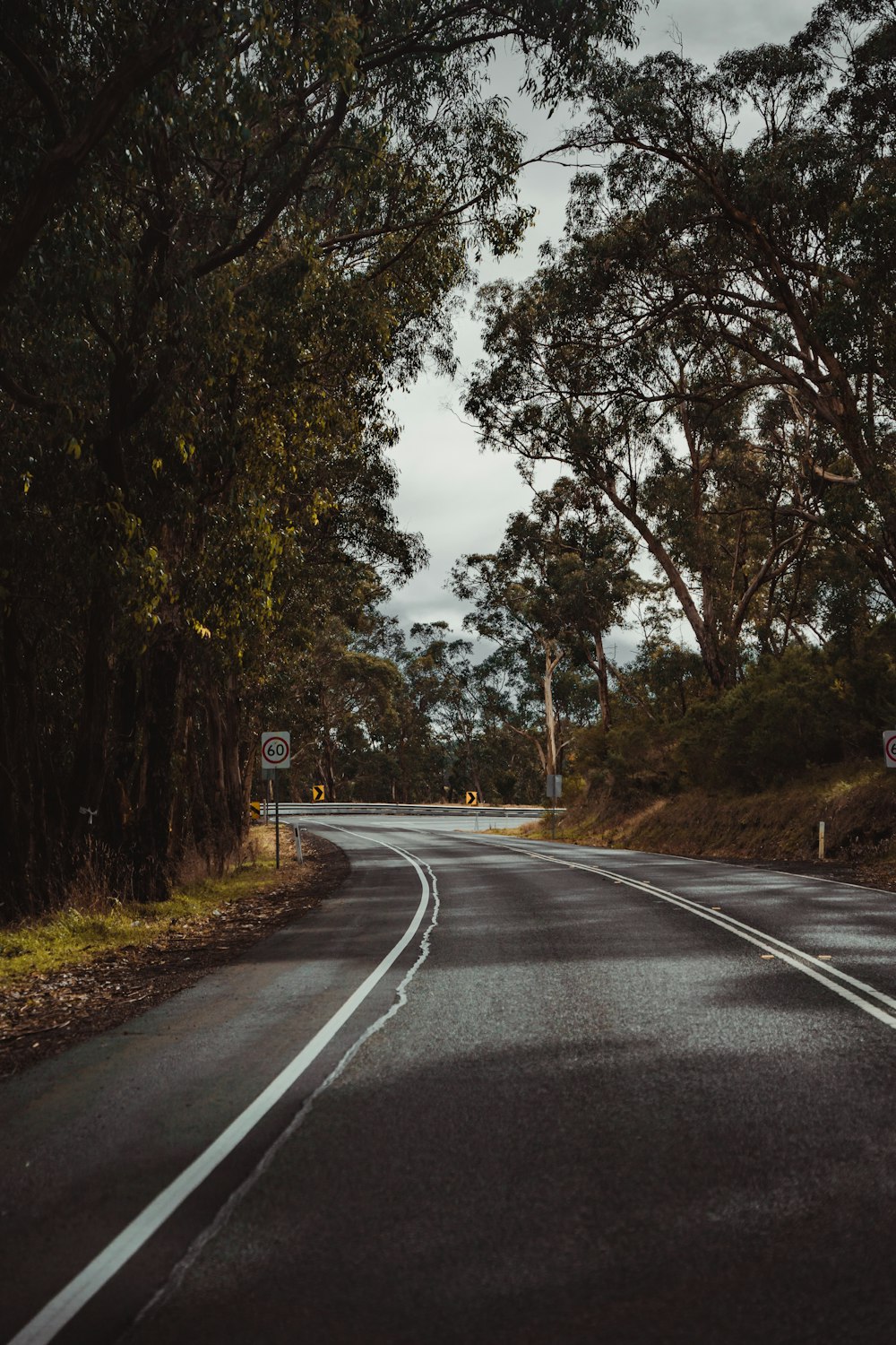 an empty road with trees on both sides