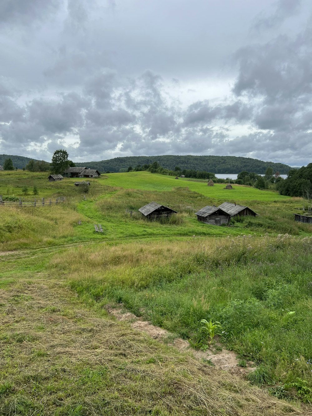 a grassy field with houses in the distance