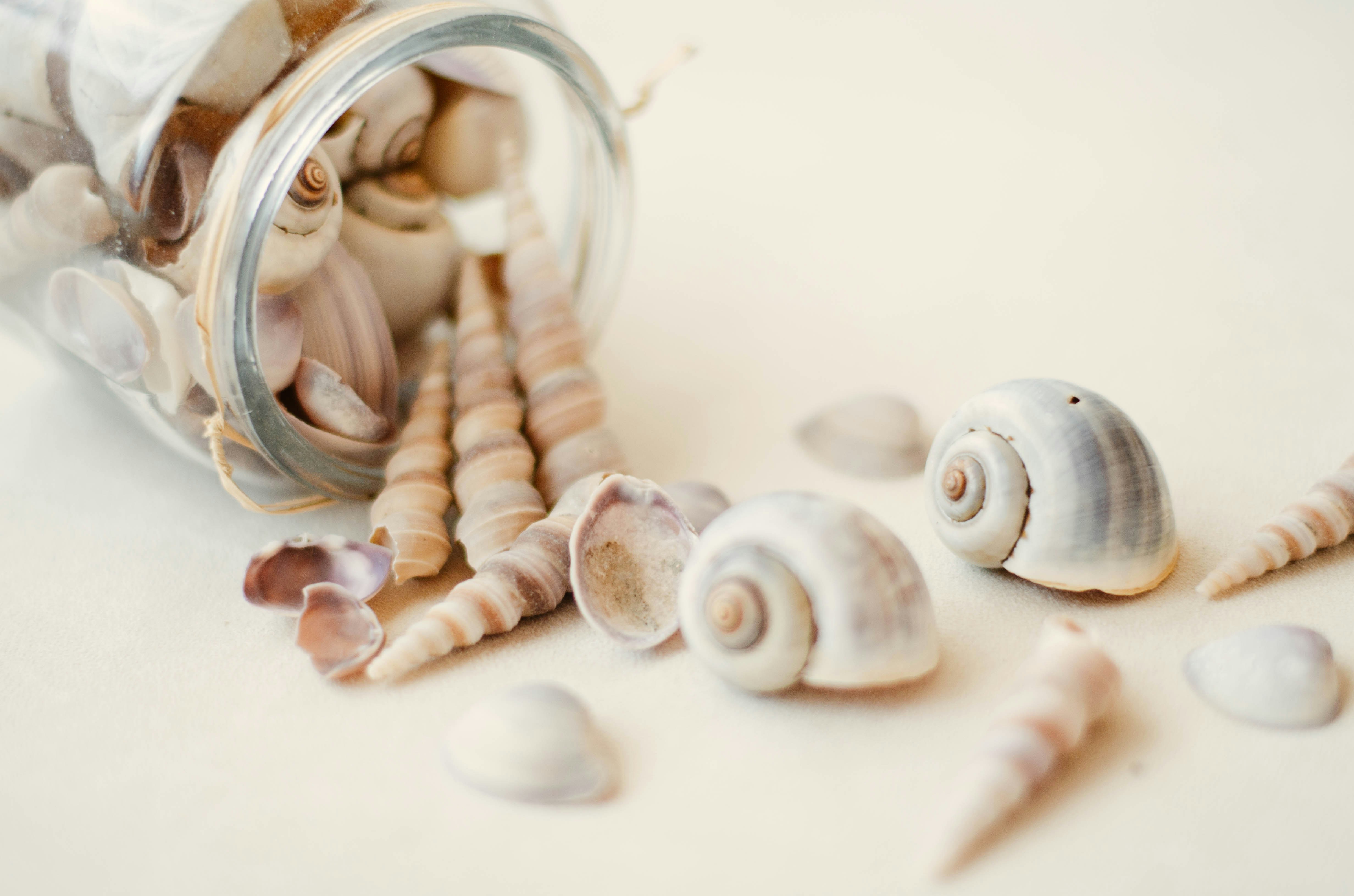 Photo by nika_benedictova