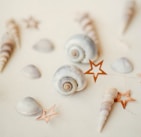 Brightly colored charms shaped like shells and starfish scattered on a wooden table.