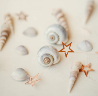 A cozy coastal throw pillow embroidered with seashells and starfish motifs