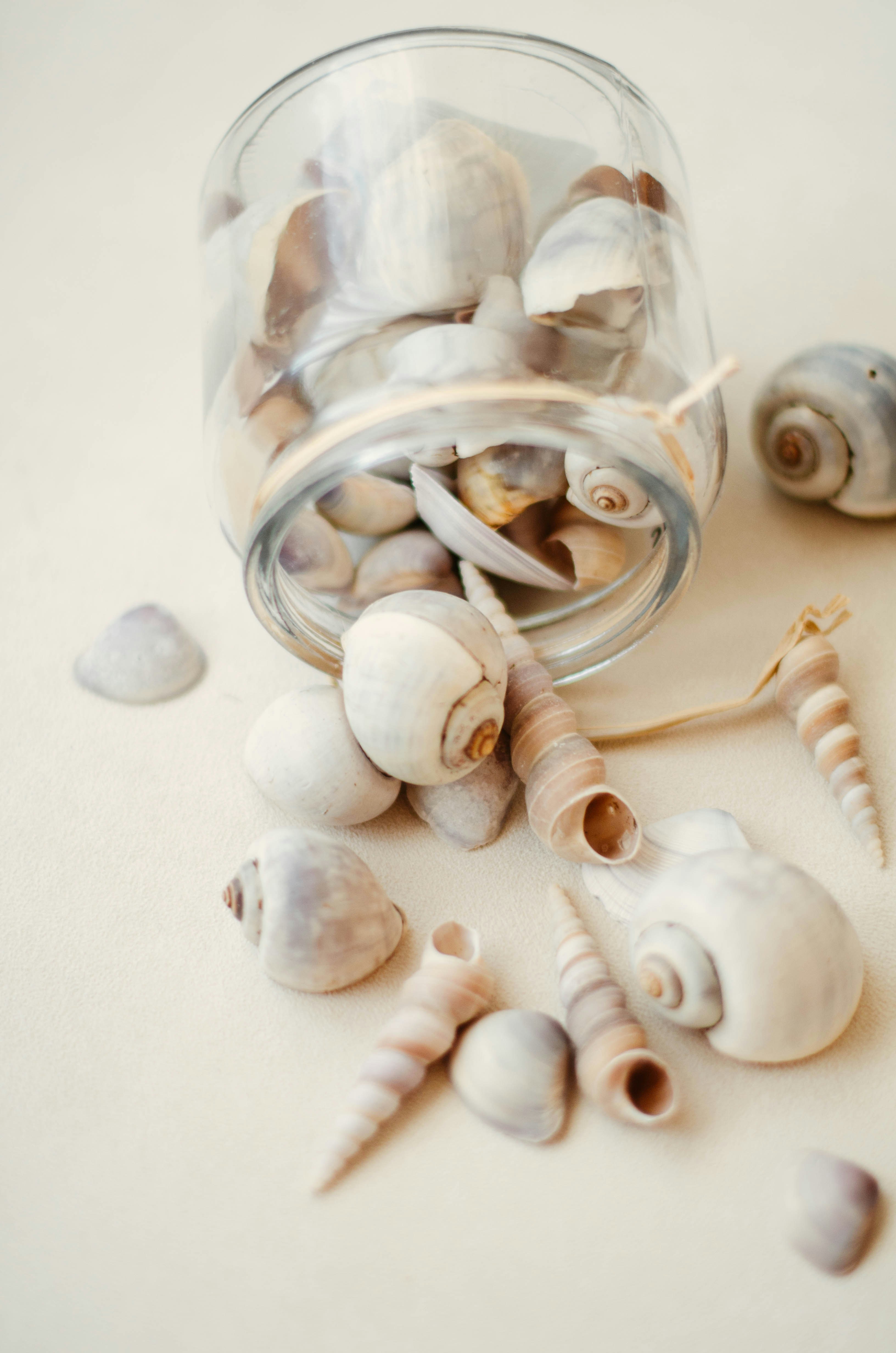 Photo by nika_benedictova