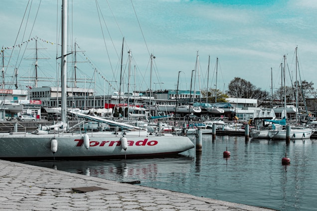 A marina filled with several sailboats and yachts, with some docked along a quay and others anchored in the water. The scene includes various masts and rigging lines creating a complex network against the sky. Buildings and trees form the backdrop, and a paved walkway is visible in the foreground.