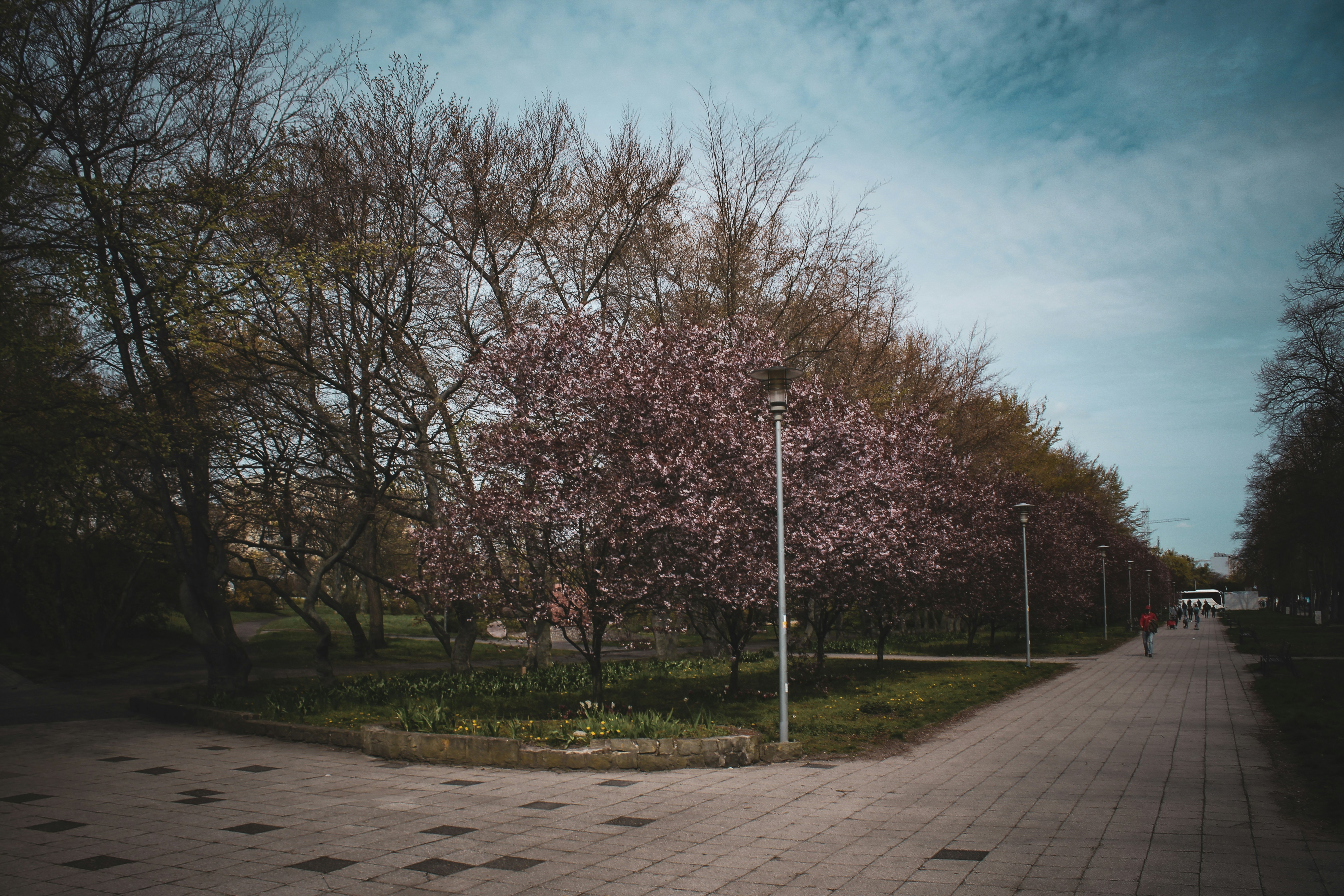 Park Dziejów Pucka