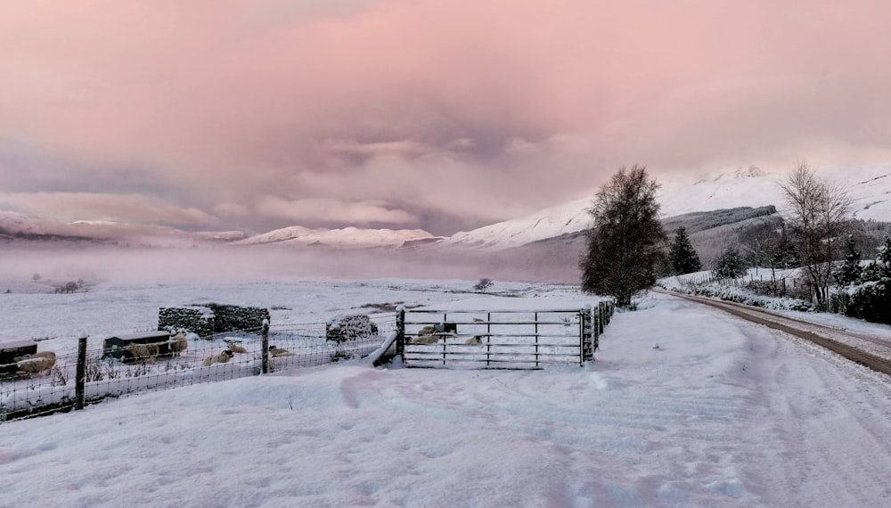 a snow covered road with a fence and mountains in the background