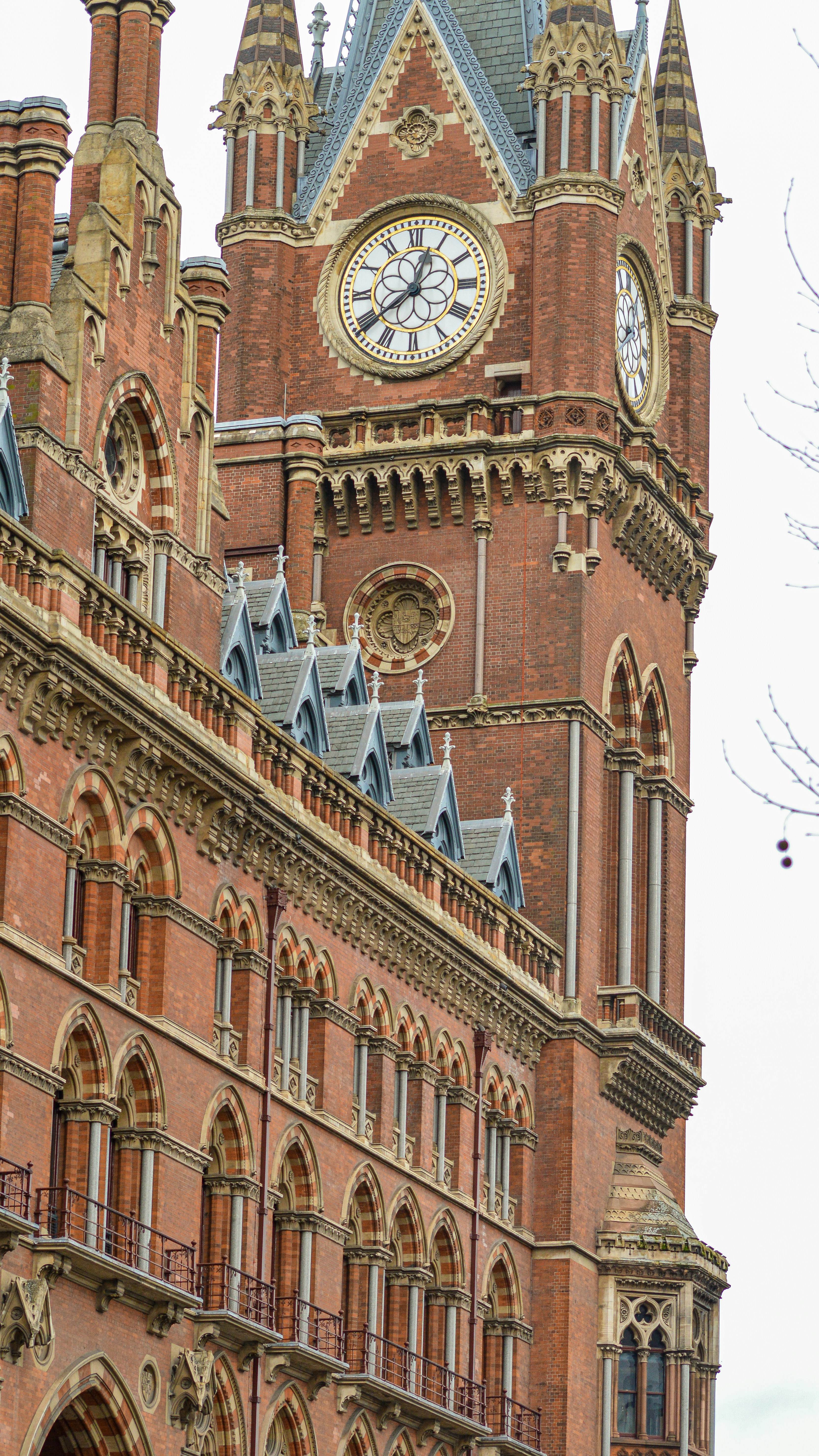 Photo by saidyigitcamlica