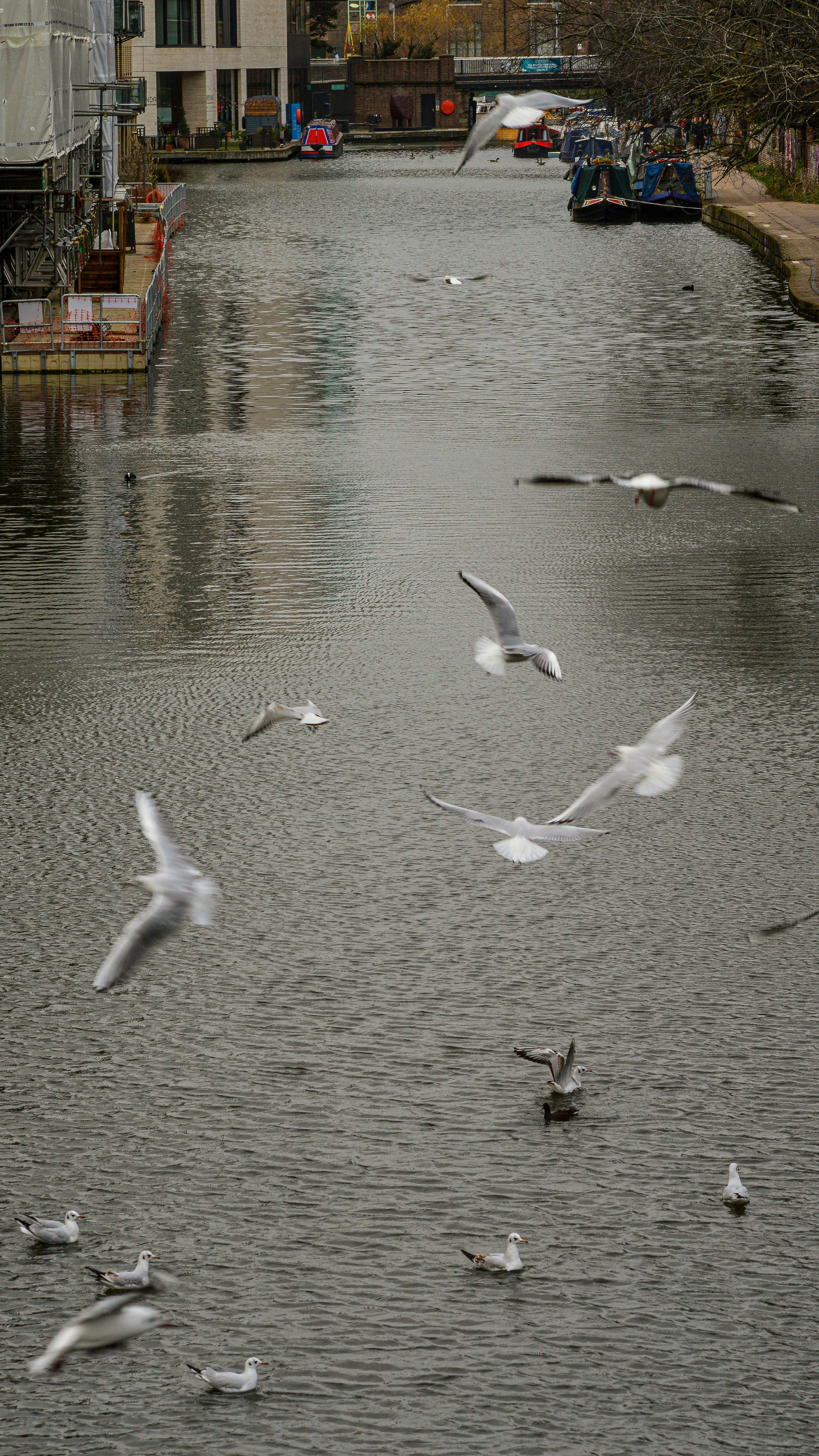 Photo by saidyigitcamlica