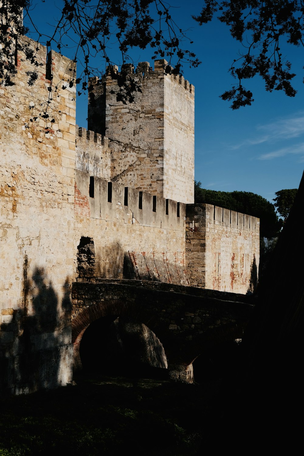 a castle with a bridge and a tree in front of it