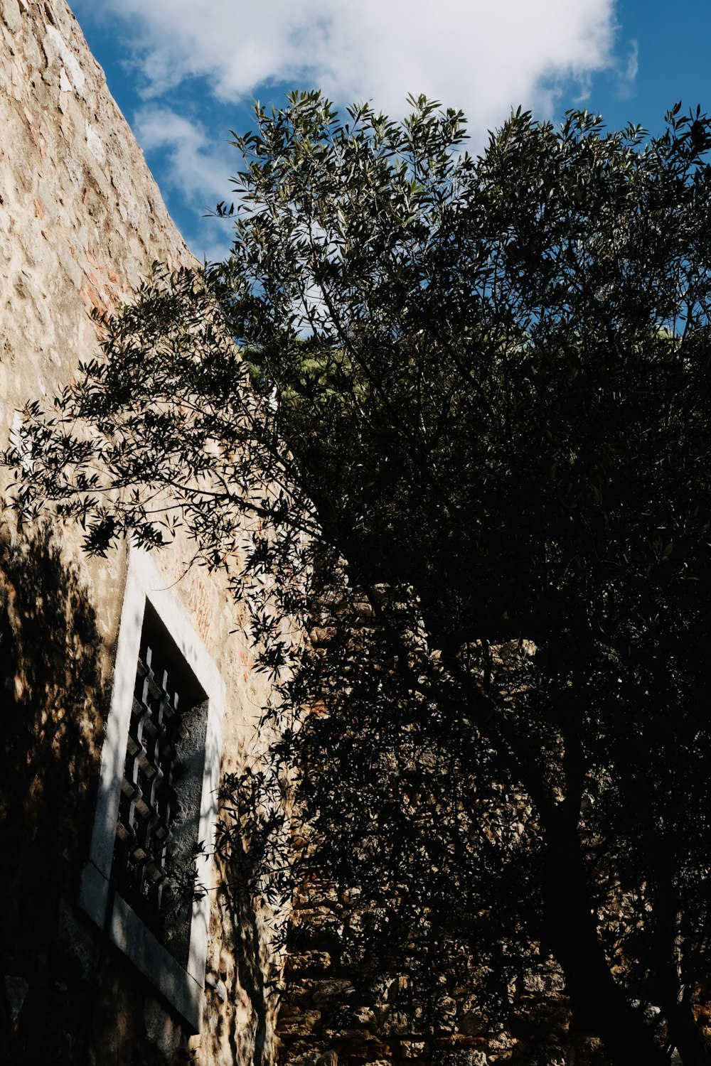 a building with a window and a tree in front of it