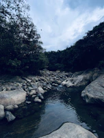 A serene nature scene with a flowing river, shown in a smooth video still.
