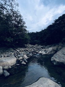 A serene natural scene featuring a river flowing gently over smooth rocks and surrounded by lush green trees. The sky above is overcast, casting a soft, diffused light over the landscape.