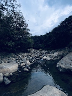 A serene natural scene featuring a river flowing gently over smooth rocks and surrounded by lush green trees. The sky above is overcast, casting a soft, diffused light over the landscape.