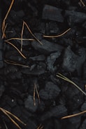 A collection of black charcoal pieces with scattered, thin, light brown twigs or dried grass strands intertwined among them, creating a contrast against the dark background.