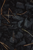 Stacks of rich black biochar neatly collected, illustrating the carbon-negative potential of the process.