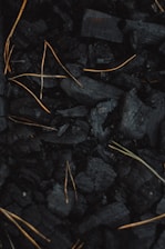 A collection of black charcoal pieces with scattered, thin, light brown twigs or dried grass strands intertwined among them, creating a contrast against the dark background.