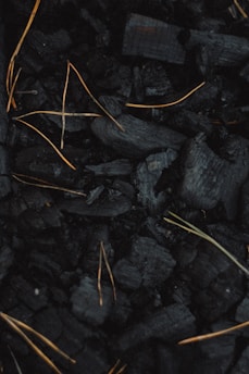 A collection of black charcoal pieces with scattered, thin, light brown twigs or dried grass strands intertwined among them, creating a contrast against the dark background.