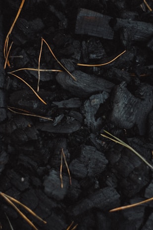 A collection of black charcoal pieces with scattered, thin, light brown twigs or dried grass strands intertwined among them, creating a contrast against the dark background.