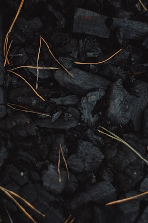 A collection of black charcoal pieces with scattered, thin, light brown twigs or dried grass strands intertwined among them, creating a contrast against the dark background.