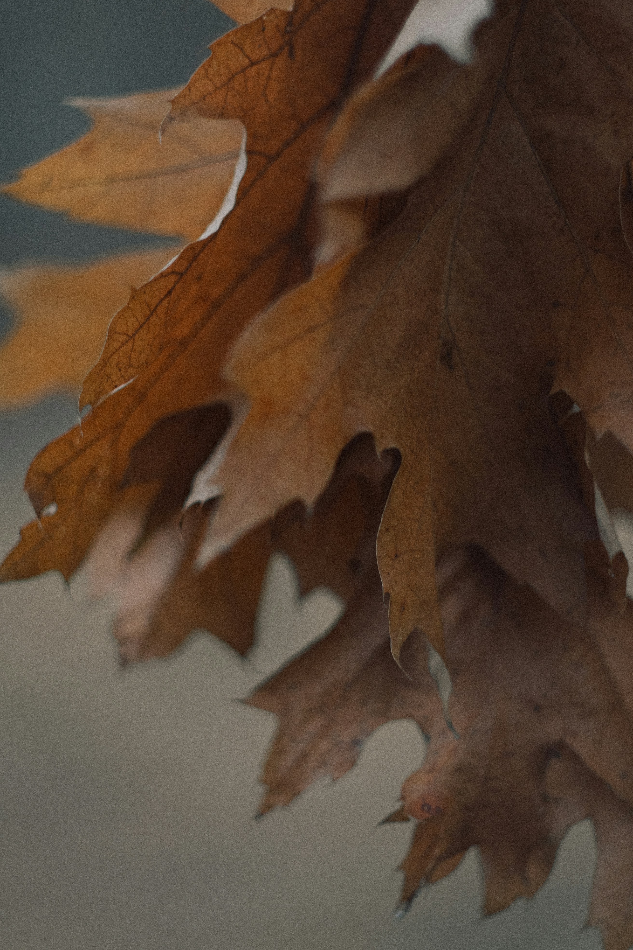 Photo by eugenechystiakov