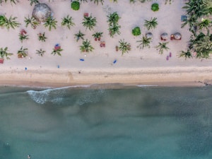 An aerial view of a sandy beach lined with palm trees, and several colorful sun loungers and umbrellas scattered across. The ocean waves gently lap at the shore, creating a serene and tranquil scene.