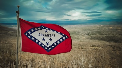 a flag in a field with a sky in the background