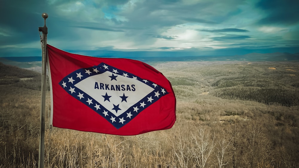 a flag in a field with a sky in the background