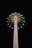A tall amusement park ride features a central tower with spokes extending outwards. At the end of each spoke, seats are suspended, offering a thrilling swinging experience high above the ground. Bright lights illuminate the structure, creating a dynamic display against the night sky.