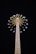 A tall amusement park ride features a central tower with spokes extending outwards. At the end of each spoke, seats are suspended, offering a thrilling swinging experience high above the ground. Bright lights illuminate the structure, creating a dynamic display against the night sky.
