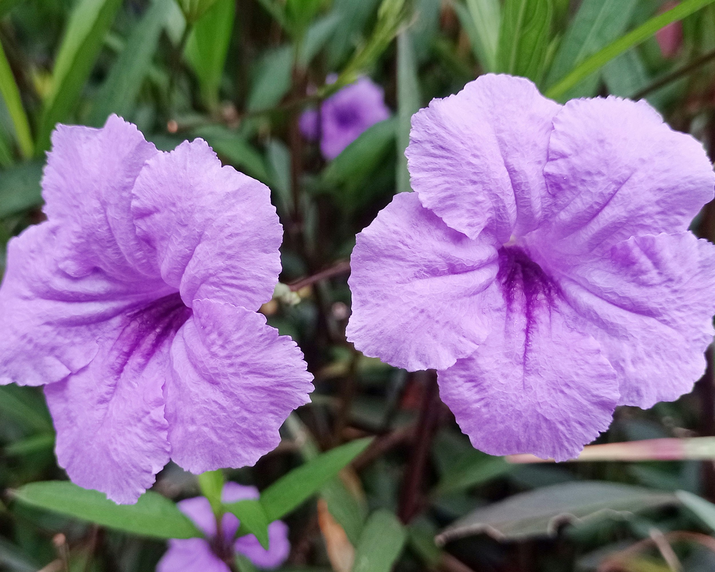 Photo by arkan_maker