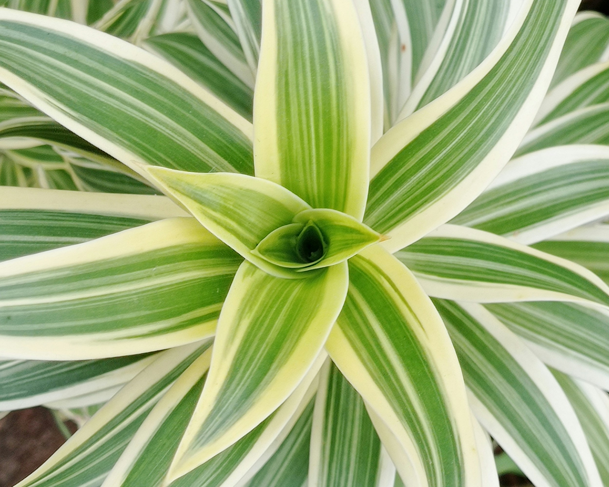 Photo by arkan_maker