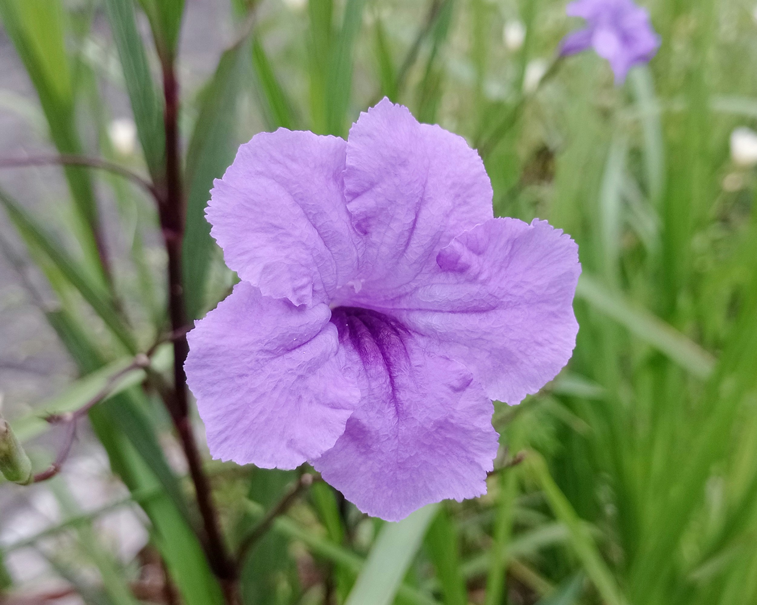 Photo by arkan_maker