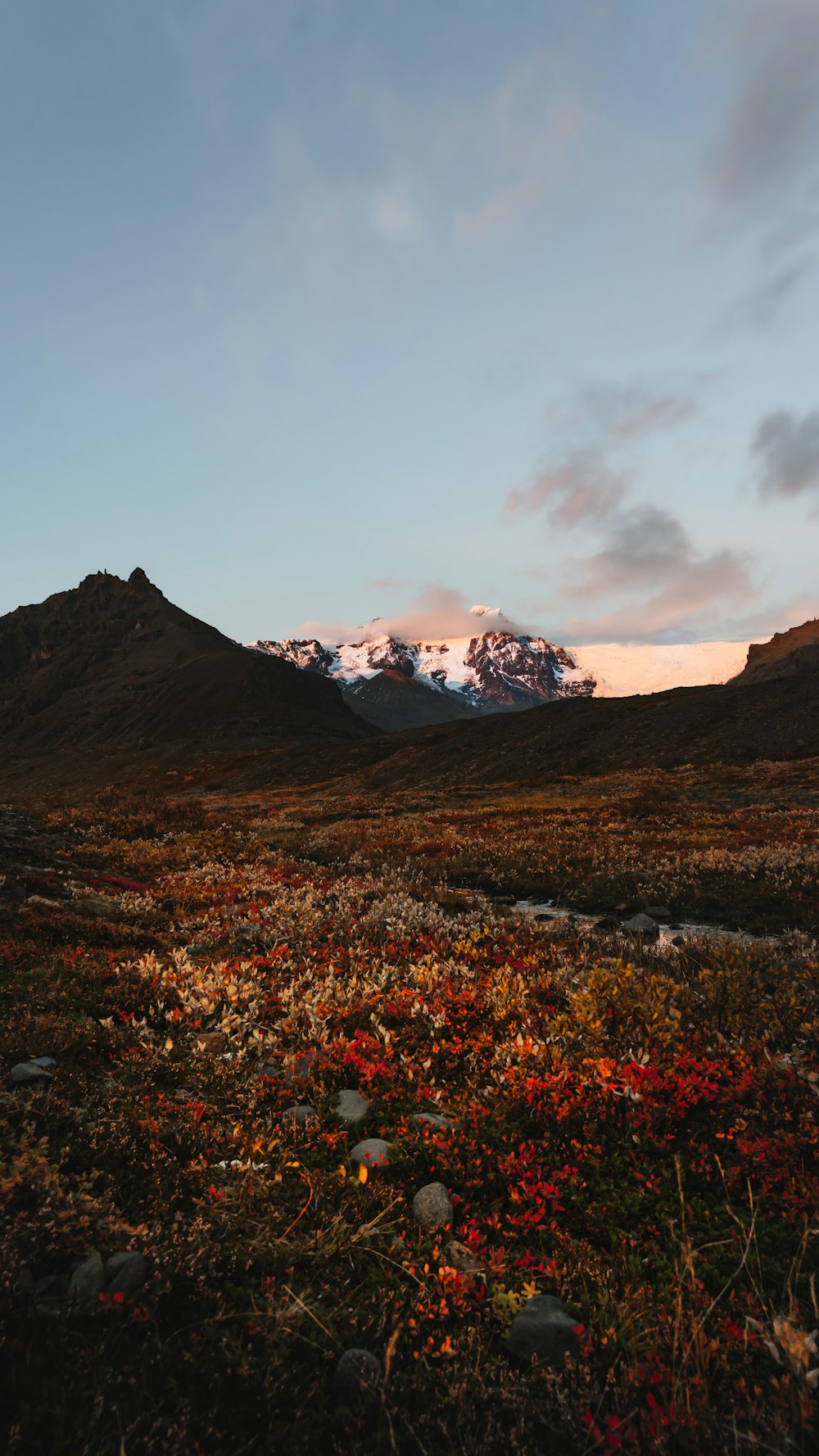 a field with a mountain in the background