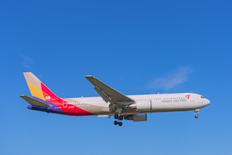 An Overasia Aviation representative coordinating flight details with airline crew members