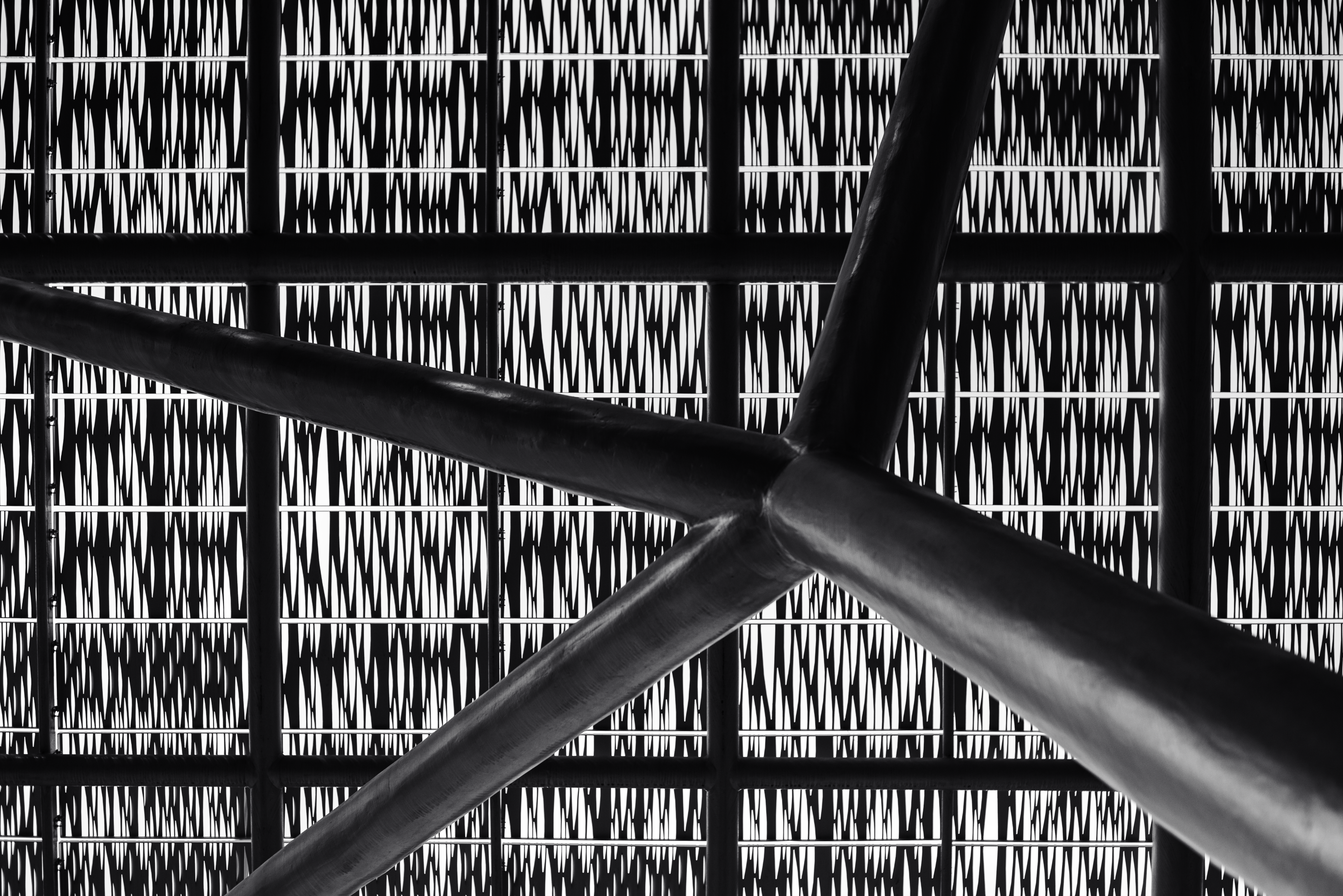 Photo by smithclukas