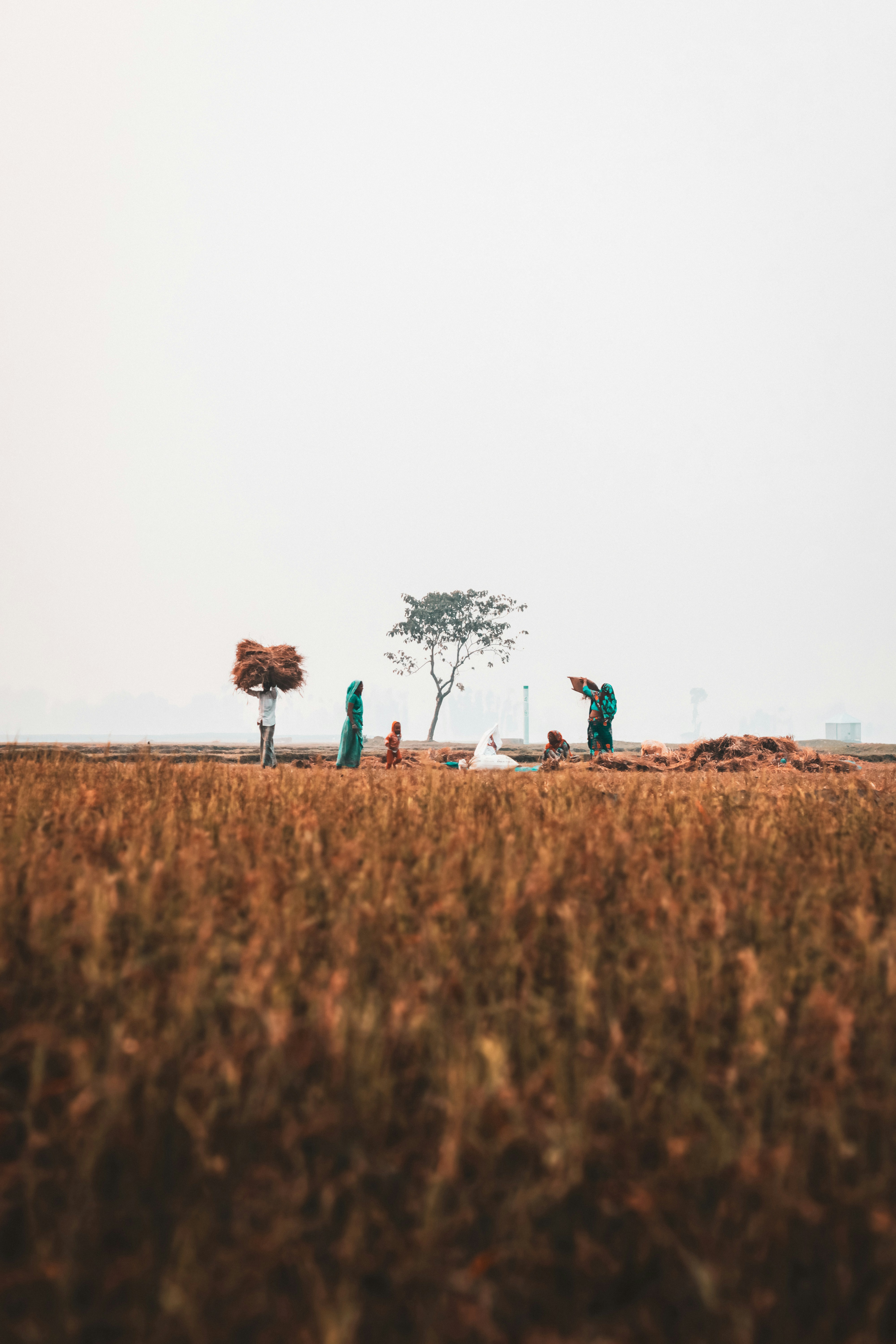 a group of people standing on top of a grass covered field