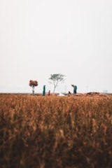 Fieldwork scene showing experts collecting data in a rural area