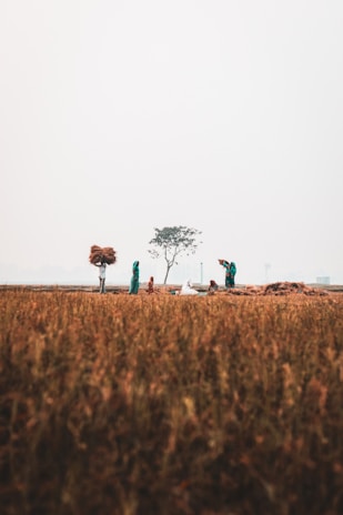 A warm, slightly blurred background showing diverse men and women collaborating in a rural classroom and farmers tending fields under a soft blue sky.