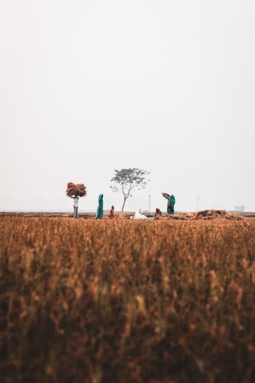 A warm, softly blurred scene showing diverse men and women collaborating in a rural classroom, farmers tending fields, and a community health outreach event under natural earth tones.
