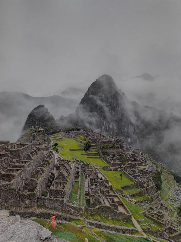 Photo 1672758601229 Dcb1b2f2b9cf?w=600&q=60&auto=format&fit=crop