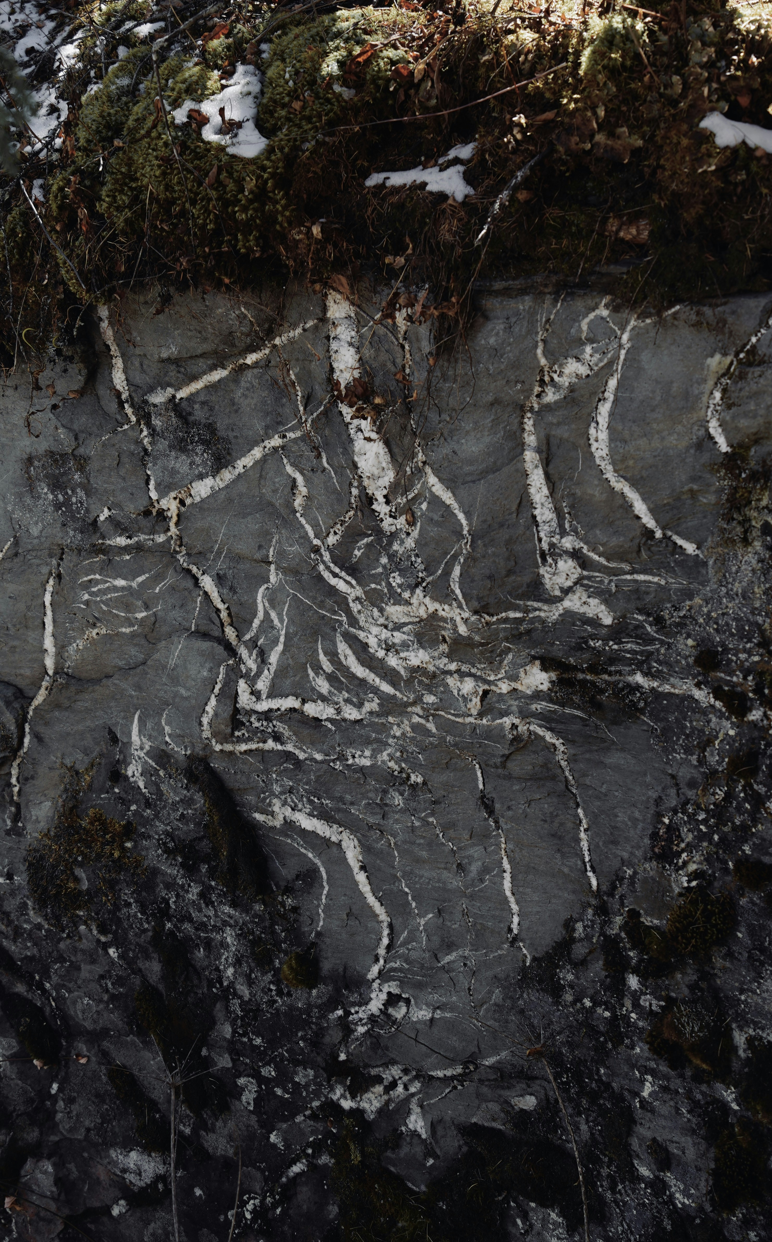 Photo by dlfornothing