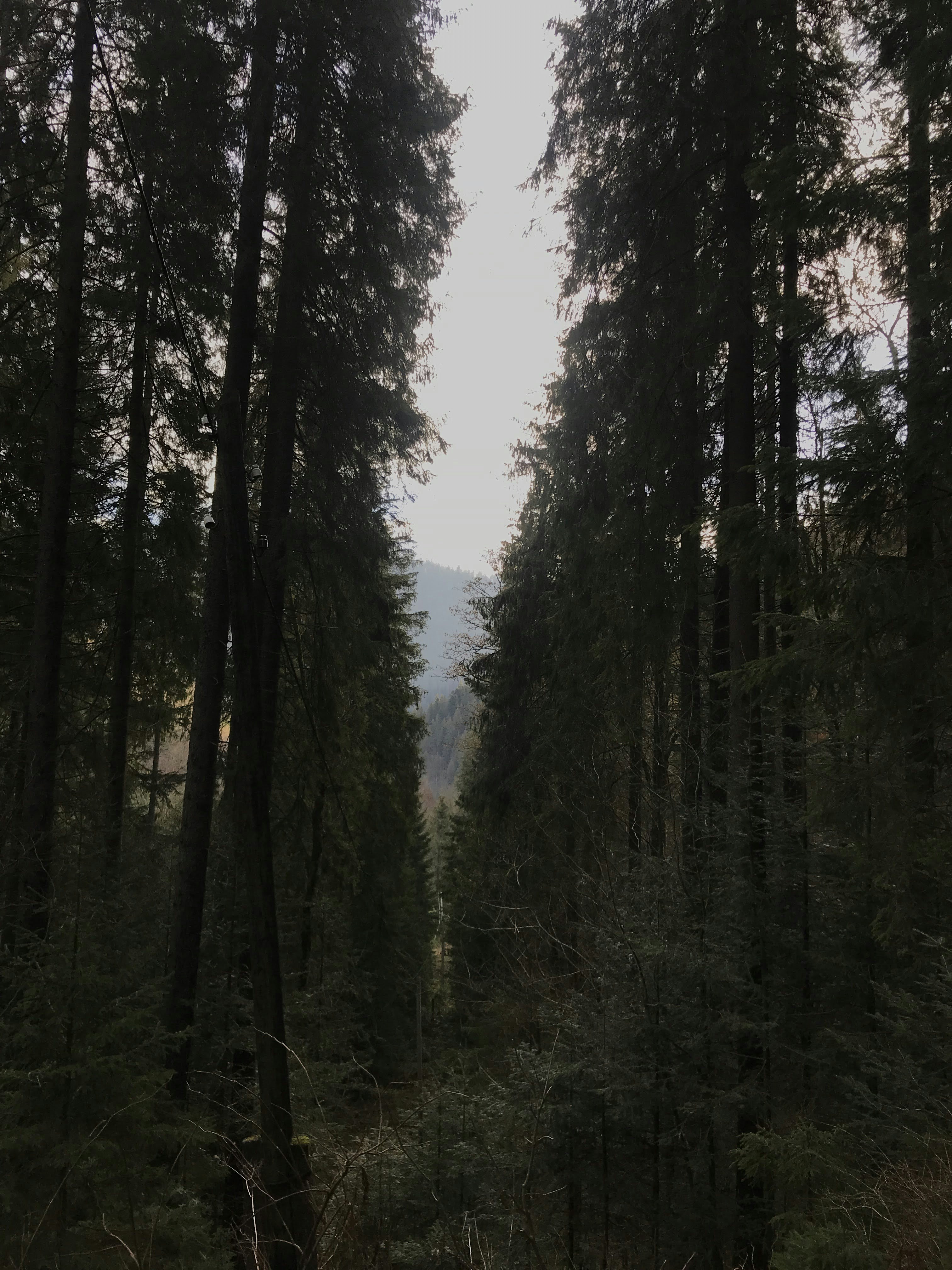 Photo by vadimmisyuchenko